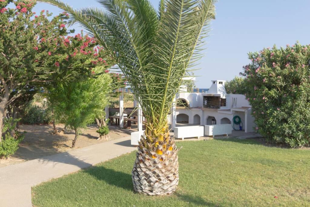 Renes Paradise Seahome - Afandou Beach, Rhodes Колимбия Экстерьер фото